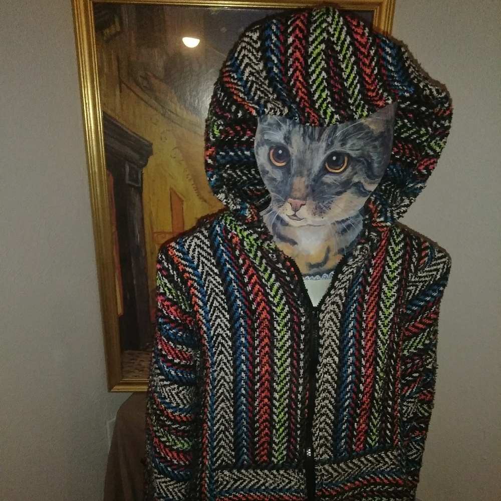 Multicolor thick hoodie